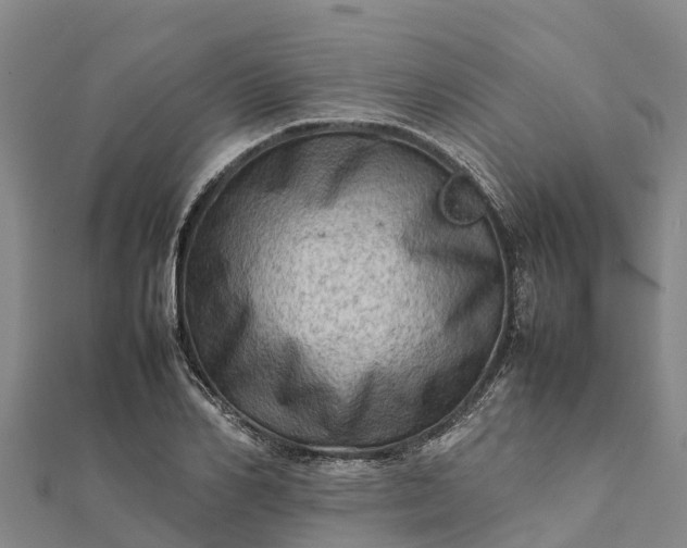 X0000112090982200908181300