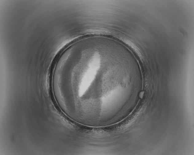 X0000112090983200908181300