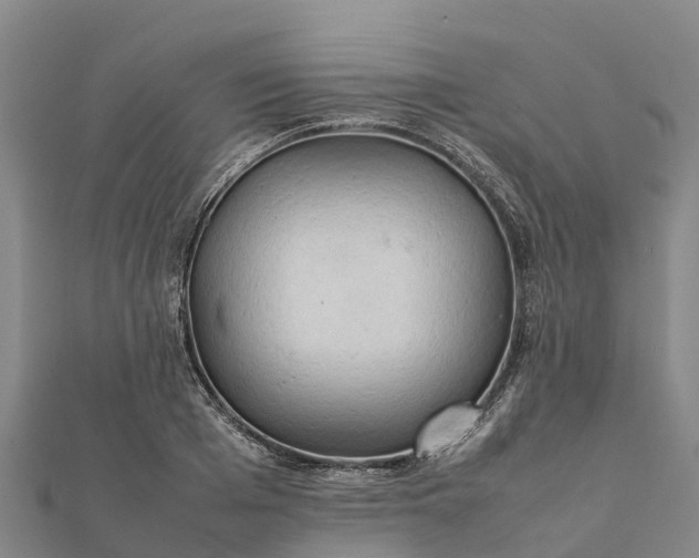 X0000112090985200908181300