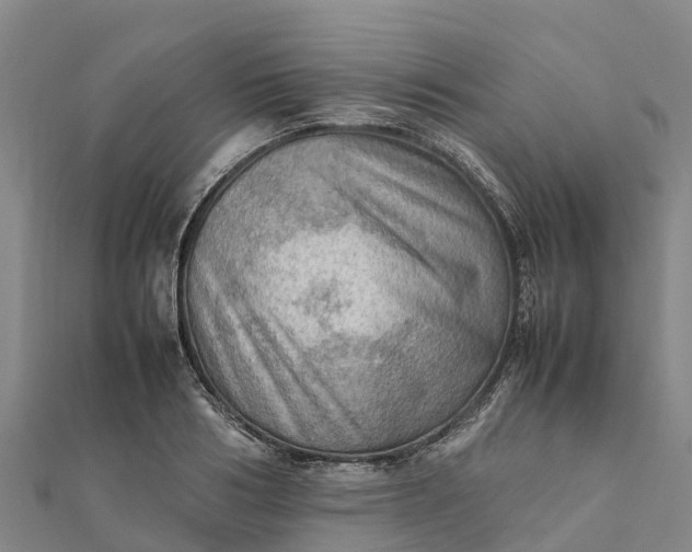 X0000112090986200908181300