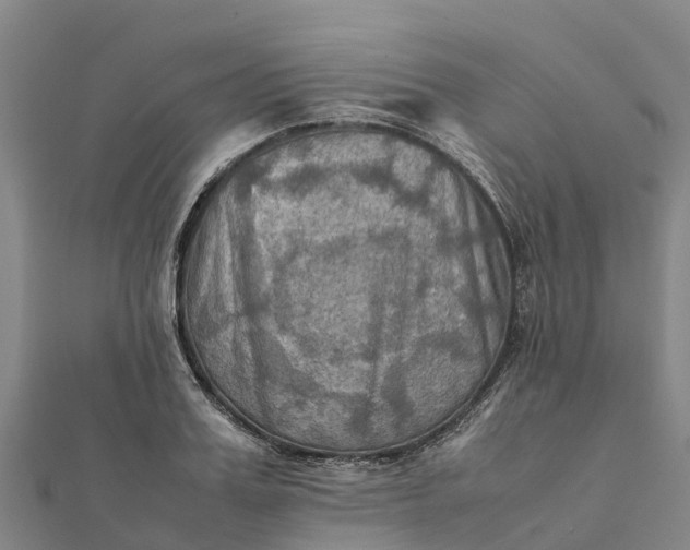 X0000112090987200908181300