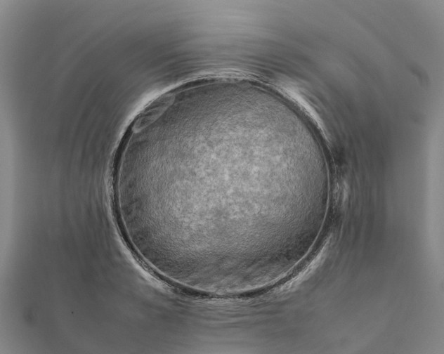 X0000112090989200908181300