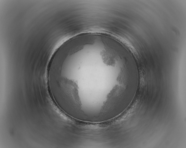 X0000112090990200908181300