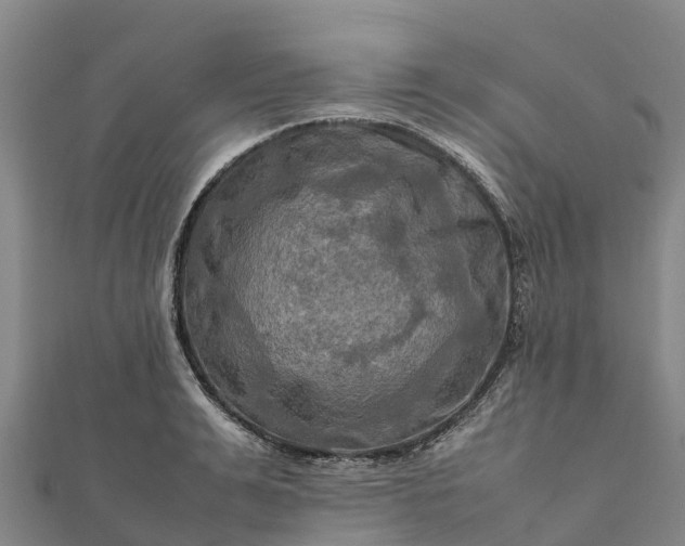 X0000112090991200908181300