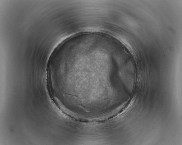 X0000112090992200908181300