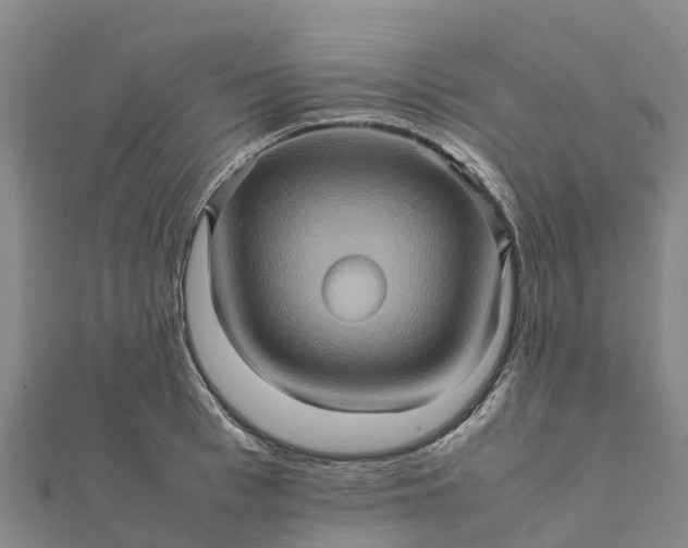 X0000112090993200908181300