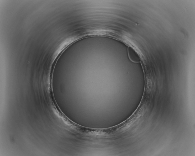 X0000112090994200908181300