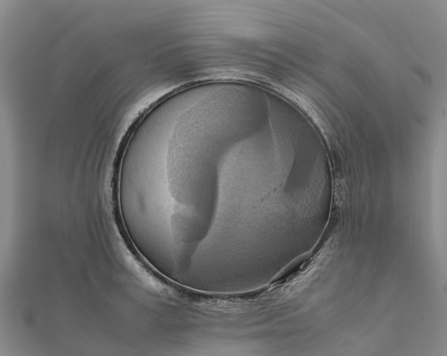 X0000112090995200908181300