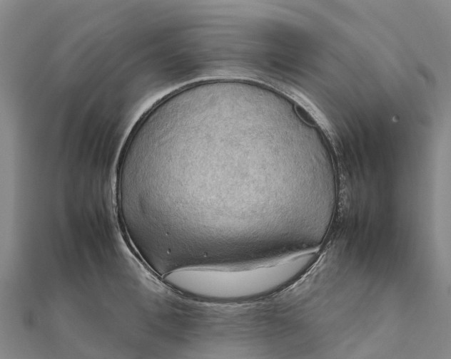 X0000112090996200908181300