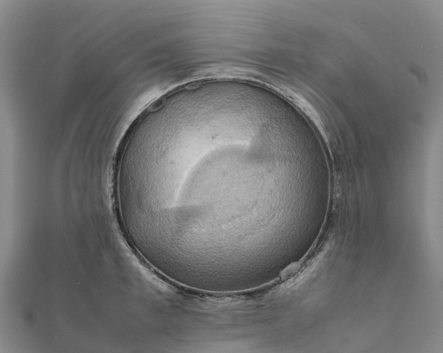 X0000112090997200908181300