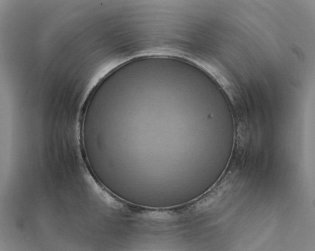 X0000112090998200908181300