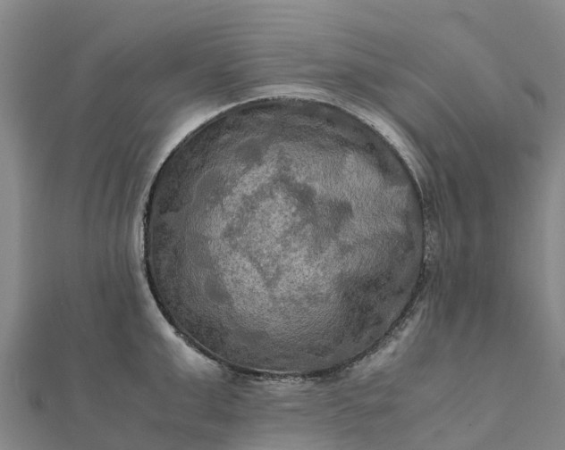 X0000112090999200908181300