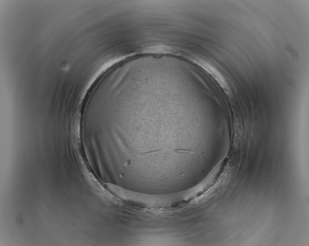 X0000112091000200908181300