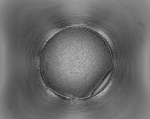 X0000112091001200908181300