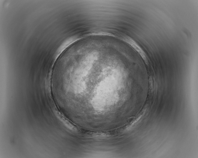 X0000112091002200908181300