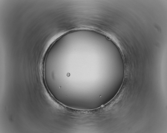 X0000112091003200908181300