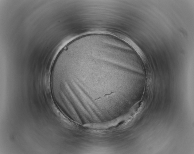 X0000112091004200908181300