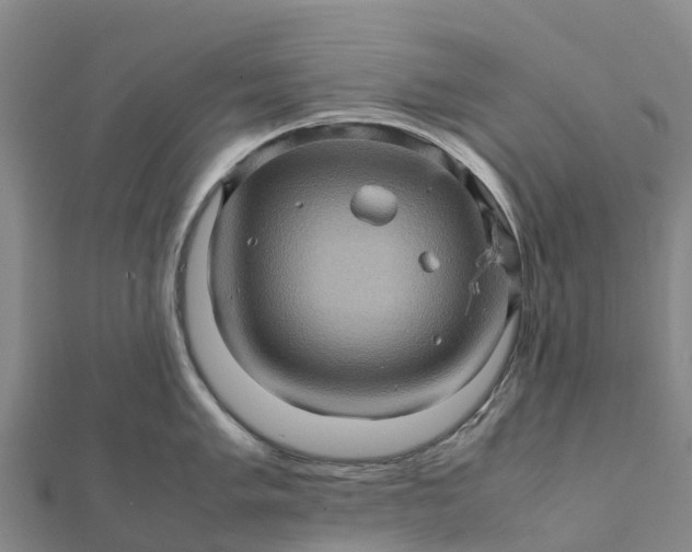 X0000112091005200908181300