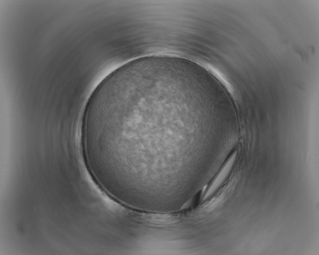 X0000112091007200908181300