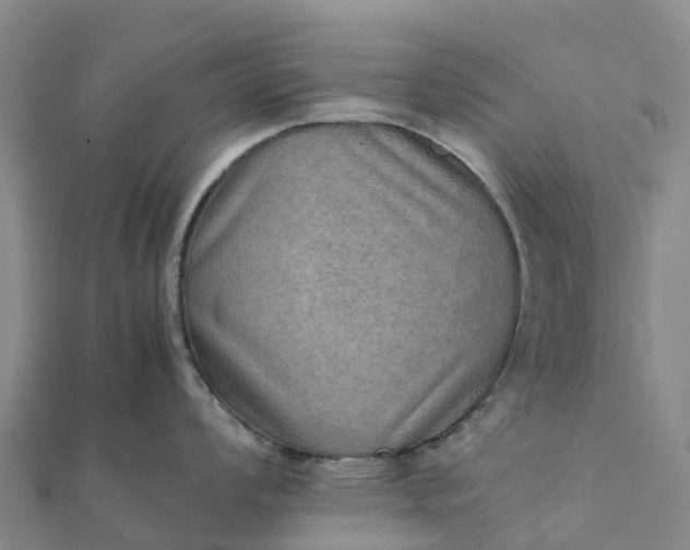 X0000112091008200908181300