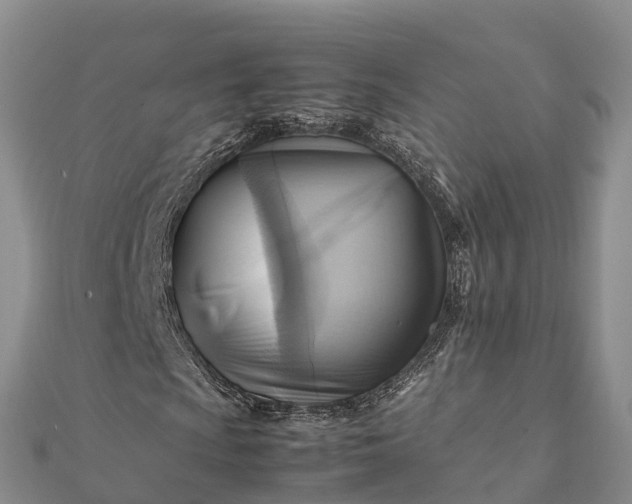 X0000112091009200908181259