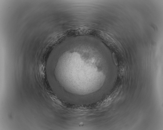 X0000112091010200908181259