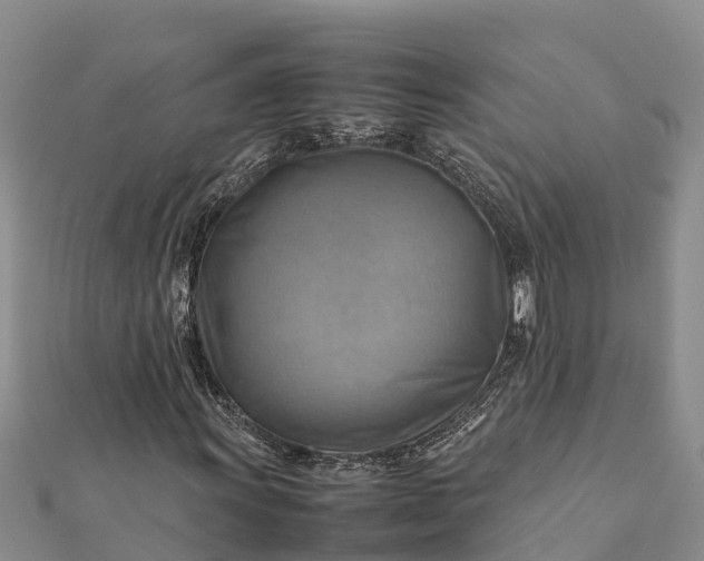 X0000112091011200908181259