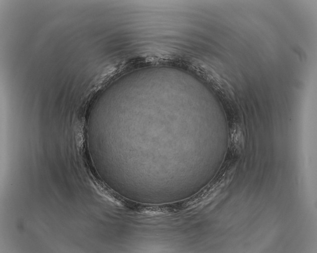 X0000112091012200908181259