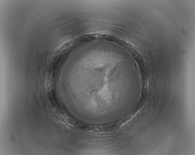 X0000112091014200908181259