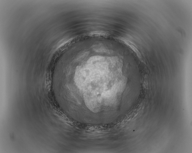 X0000112091015200908181259