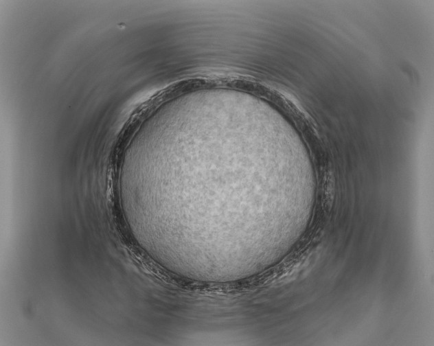 X0000112091016200908181259