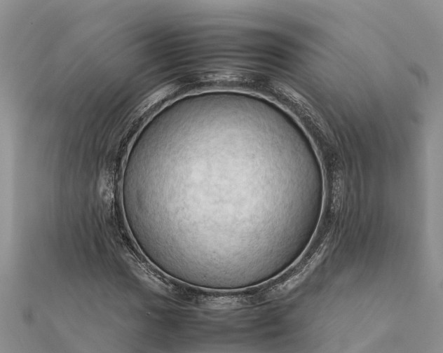 X0000112091017200908181259