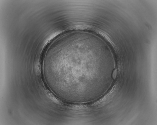 X0000112091018200908181259