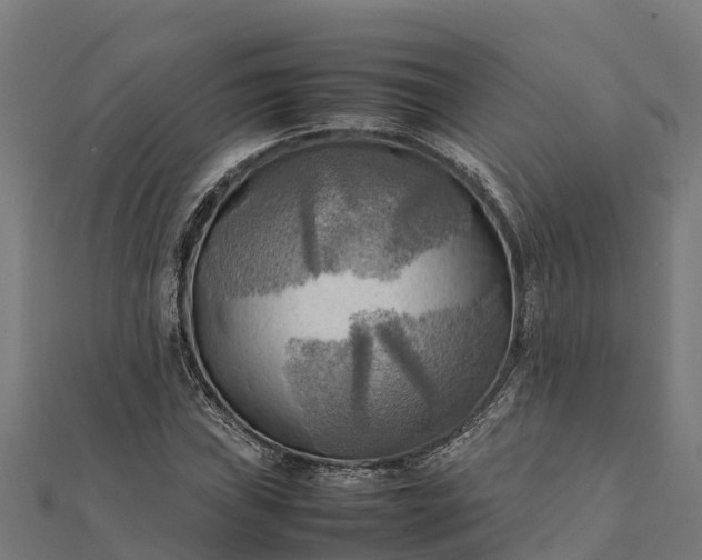 X0000112091019200908181259