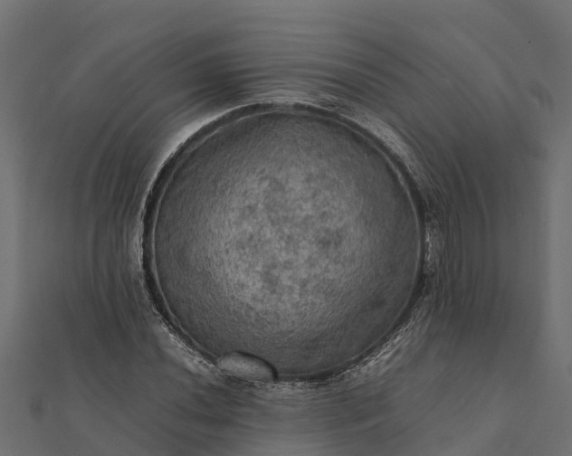 X0000112091020200908181259