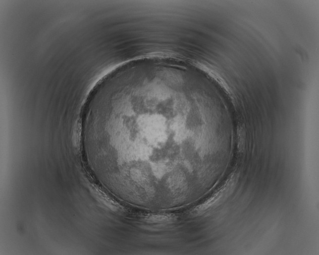 X0000112091021200908181259