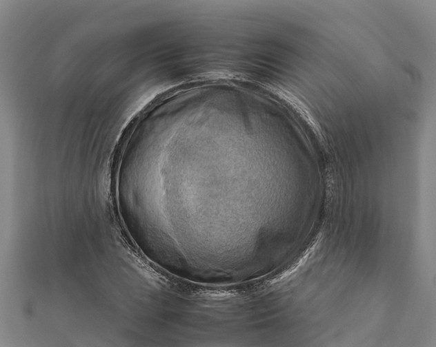 X0000112091023200908181259