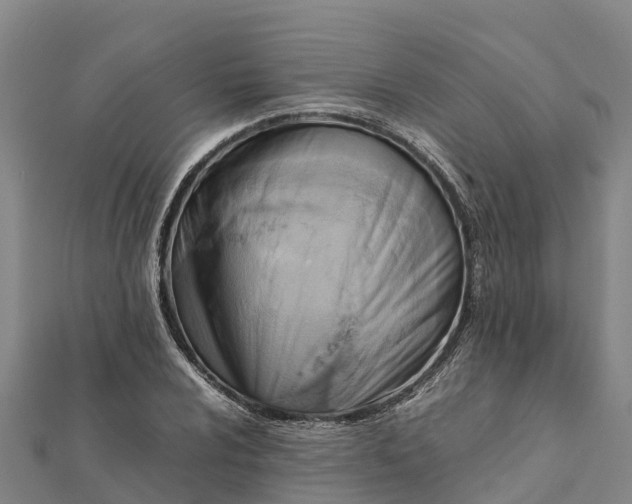 X0000112091024200908181259