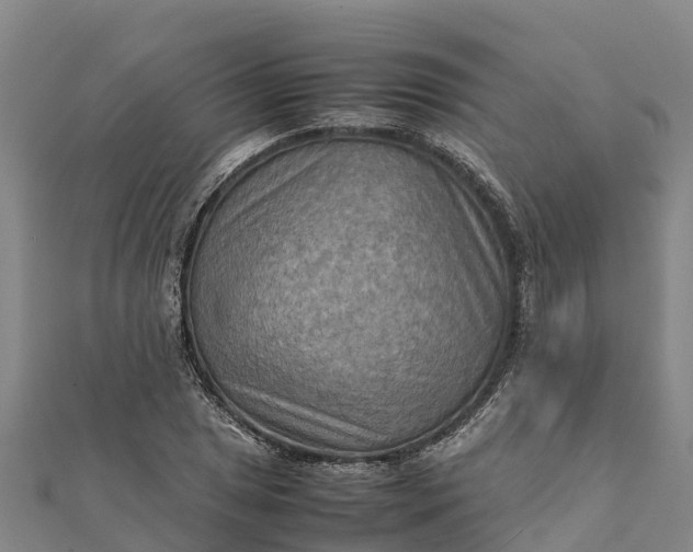 X0000112091025200908181259