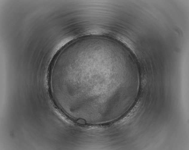 X0000112091026200908181259