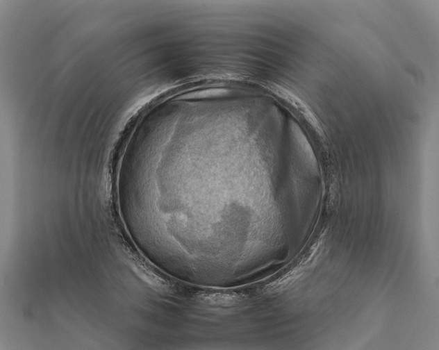 X0000112091027200908181259