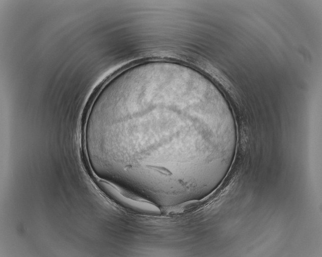 X0000112091028200908181259