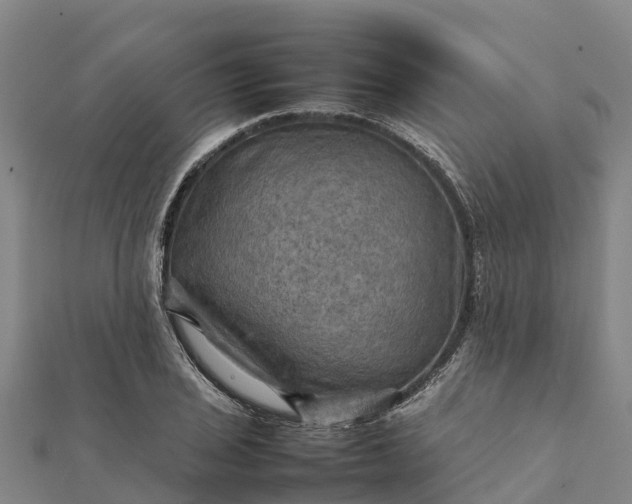 X0000112091029200908181259