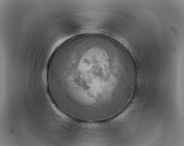 X0000112091030200908181259