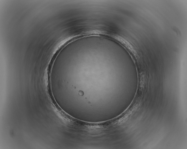 X0000112091031200908181259