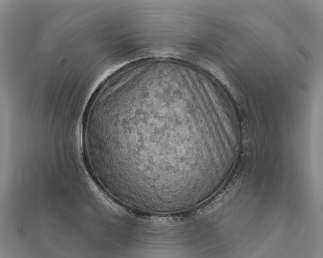 X0000112091032200908181259