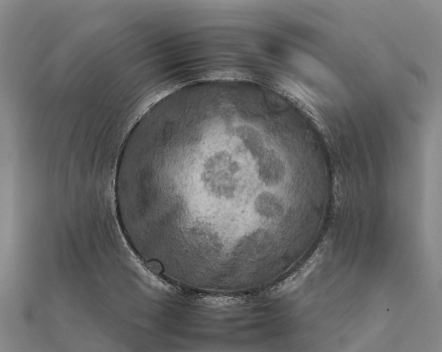 X0000112091033200908181259