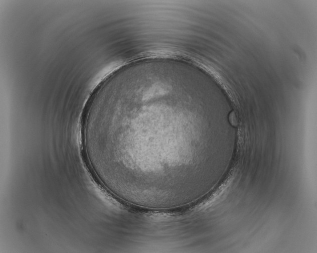 X0000112091034200908181259