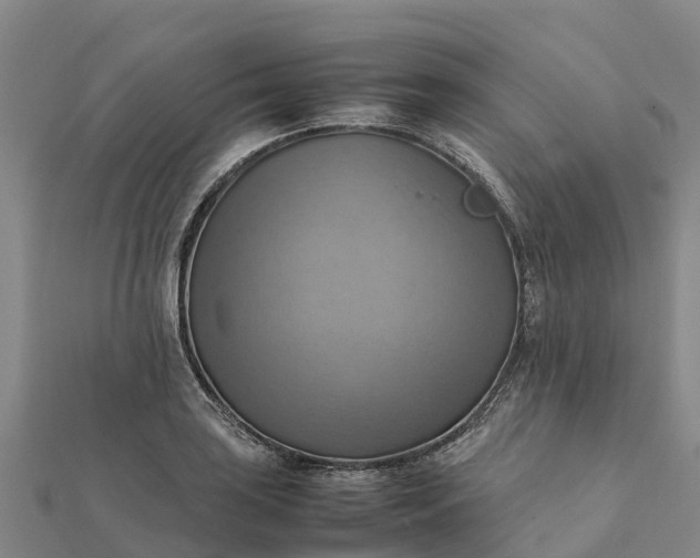 X0000112091035200908181259