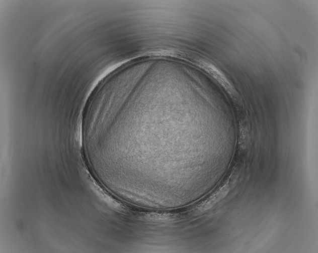 X0000112091036200908181259